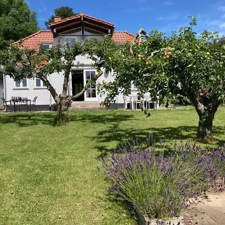 Lovely With Fantastic View On Femo Villa